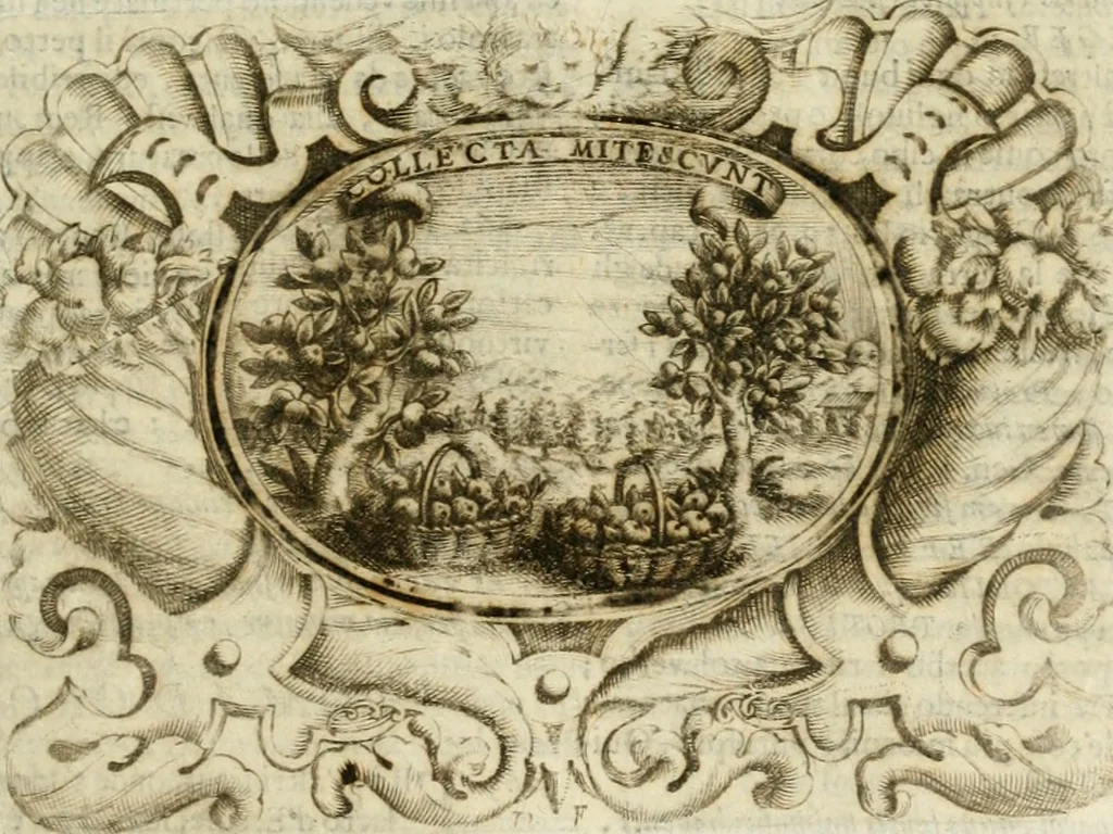 An illustration from Mondo simbolico : formato d'imprese scelte, spiegate, ed illustrate con sentenze ed eruditioni, sacre e profane : in questa impressione da mille e mille parti ampliato, 1669, leaf 478
