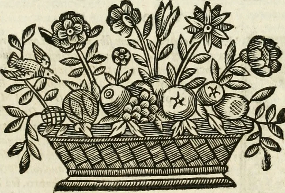 An illustration from Mondo simbolico : formato d'imprese scelte, spiegate, ed illustrate con sentenze ed eruditioni, sacre e profane : in questa impressione da mille e mille parti ampliato, 1669, leaf 510