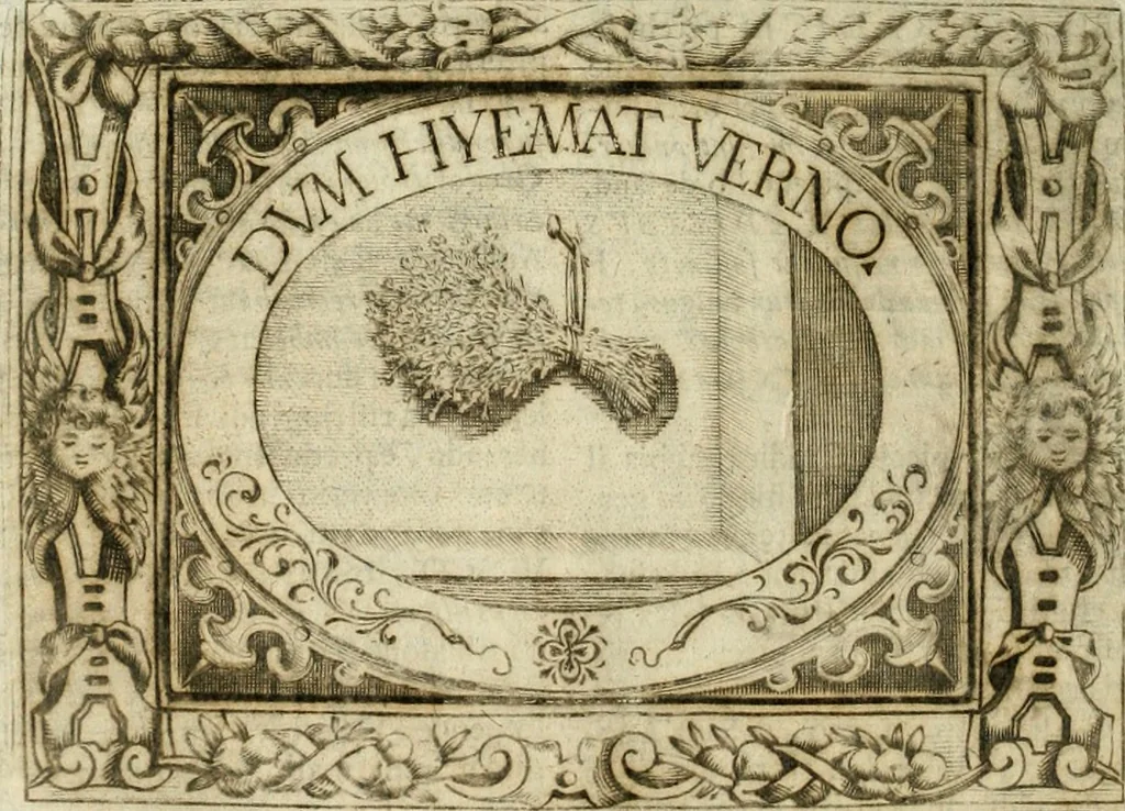 An illustration from Mondo simbolico : formato d'imprese scelte, spiegate, ed illustrate con sentenze ed eruditioni, sacre e profane : in questa impressione da mille e mille parti ampliato, 1669, leaf 531