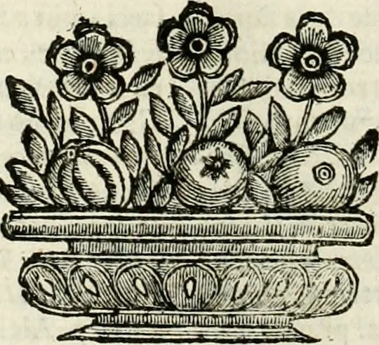 An illustration from Mondo simbolico : formato d'imprese scelte, spiegate, ed illustrate con sentenze ed eruditioni, sacre e profane : in questa impressione da mille e mille parti ampliato, 1669, leaf 537