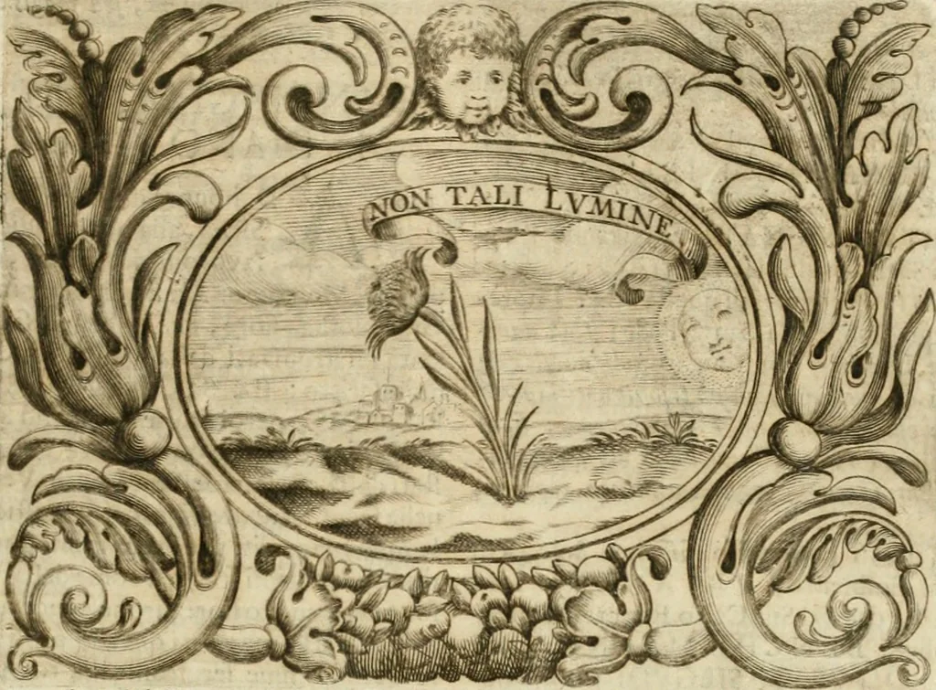 An illustration from Mondo simbolico : formato d'imprese scelte, spiegate, ed illustrate con sentenze ed eruditioni, sacre e profane : in questa impressione da mille e mille parti ampliato, 1669, leaf 554