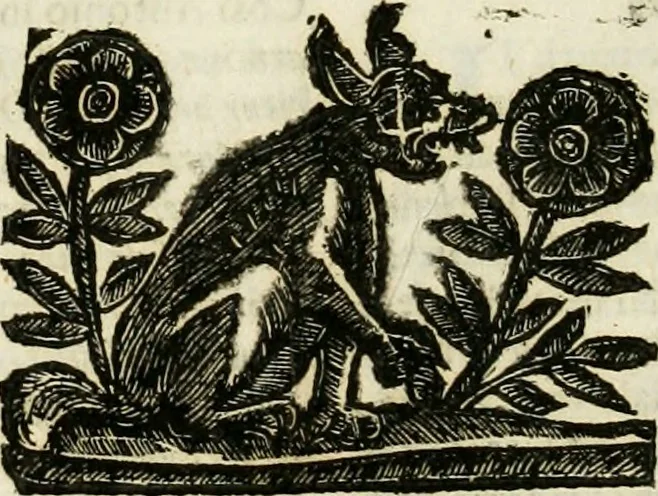 An illustration from Mondo simbolico : formato d'imprese scelte, spiegate, ed illustrate con sentenze ed eruditioni, sacre e profane : in questa impressione da mille e mille parti ampliato, 1669, leaf 627