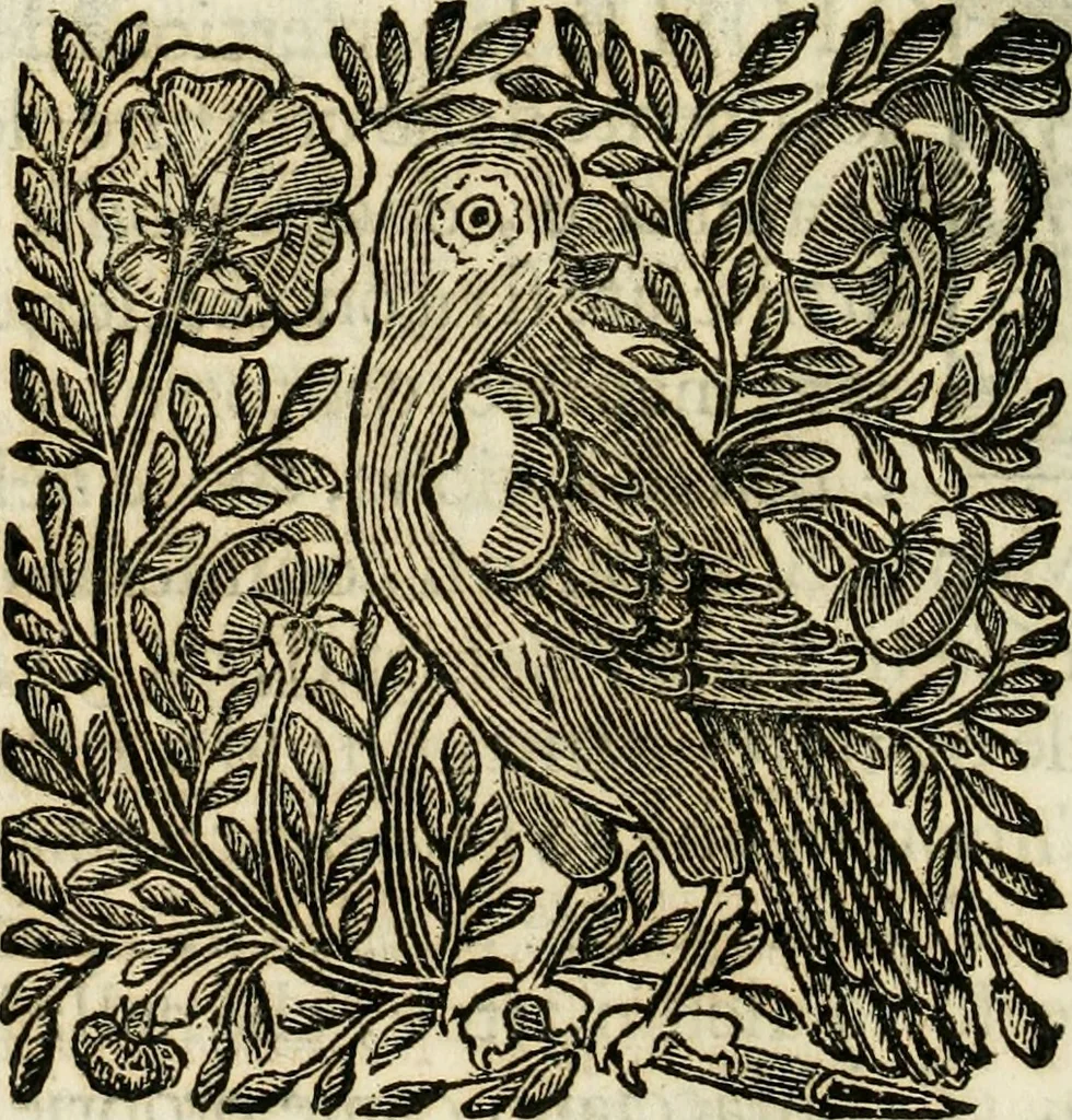 An illustration from Mondo simbolico : formato d'imprese scelte, spiegate, ed illustrate con sentenze ed eruditioni, sacre e profane : in questa impressione da mille e mille parti ampliato, 1669, leaf 633