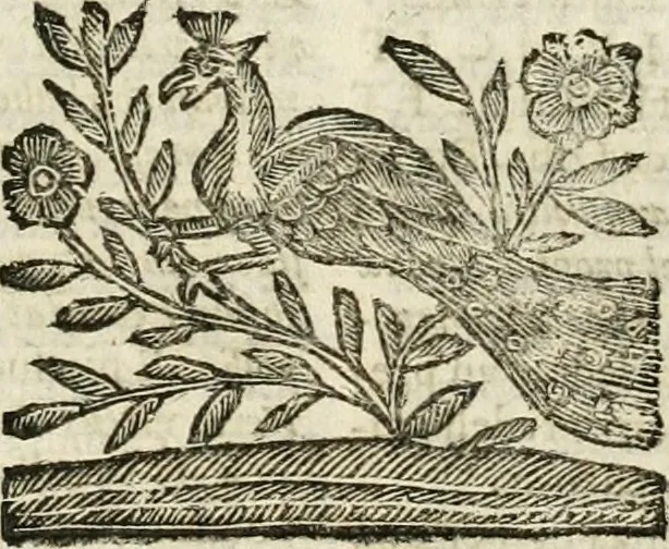 An illustration from Mondo simbolico : formato d'imprese scelte, spiegate, ed illustrate con sentenze ed eruditioni, sacre e profane : in questa impressione da mille e mille parti ampliato, 1669, leaf 644