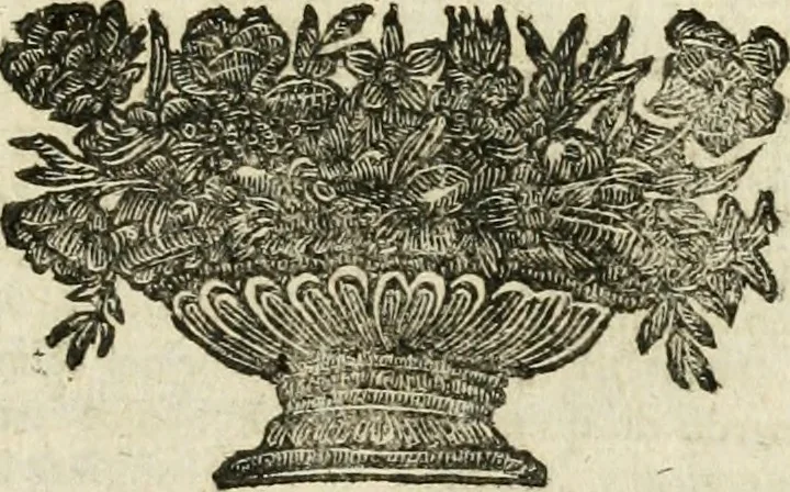 An illustration from Mondo simbolico : formato d'imprese scelte, spiegate, ed illustrate con sentenze ed eruditioni, sacre e profane : in questa impressione da mille e mille parti ampliato, 1669, leaf 680