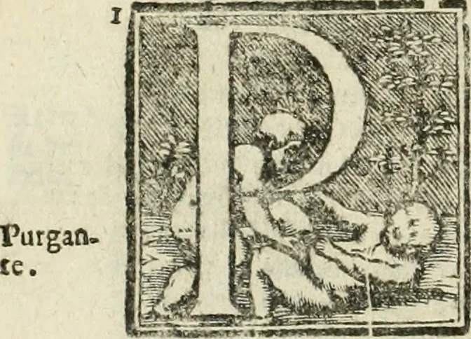 An illustration from Mondo simbolico : formato d'imprese scelte, spiegate, ed illustrate con sentenze ed eruditioni, sacre e profane : in questa impressione da mille e mille parti ampliato, 1669, leaf 681