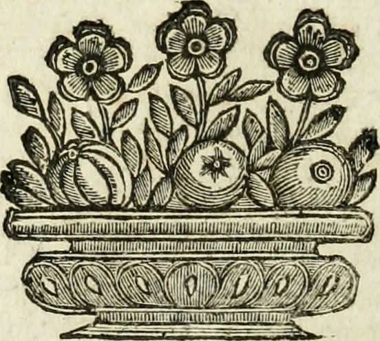 An illustration from Mondo simbolico : formato d'imprese scelte, spiegate, ed illustrate con sentenze ed eruditioni, sacre e profane : in questa impressione da mille e mille parti ampliato, 1669, leaf 749