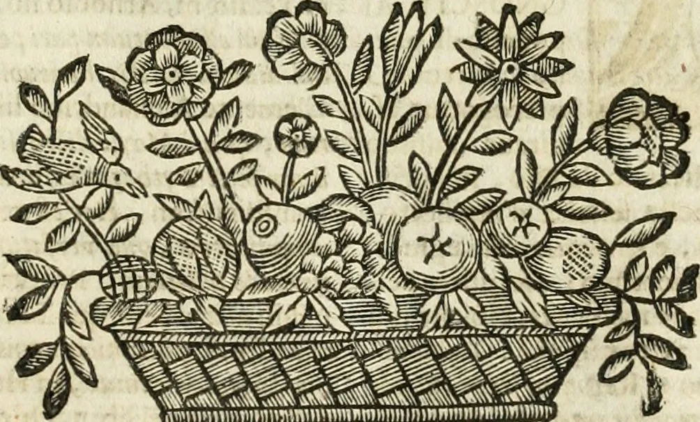 An illustration from Mondo simbolico : formato d'imprese scelte, spiegate, ed illustrate con sentenze ed eruditioni, sacre e profane : in questa impressione da mille e mille parti ampliato, 1669, leaf 782
