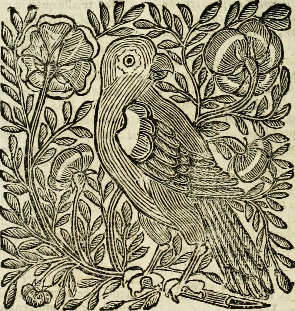 An illustration from Mondo simbolico : formato d'imprese scelte, spiegate, ed illustrate con sentenze ed eruditioni, sacre e profane : in questa impressione da mille e mille parti ampliato, 1669, leaf 849