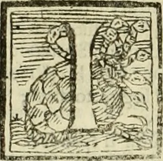 An illustration from Mondo simbolico : o sia vniversita d'imprese scelte, spiegate, ed' illvstrate con sentenze, ed eruditioni sacre, e profane, 1653, leaf 561