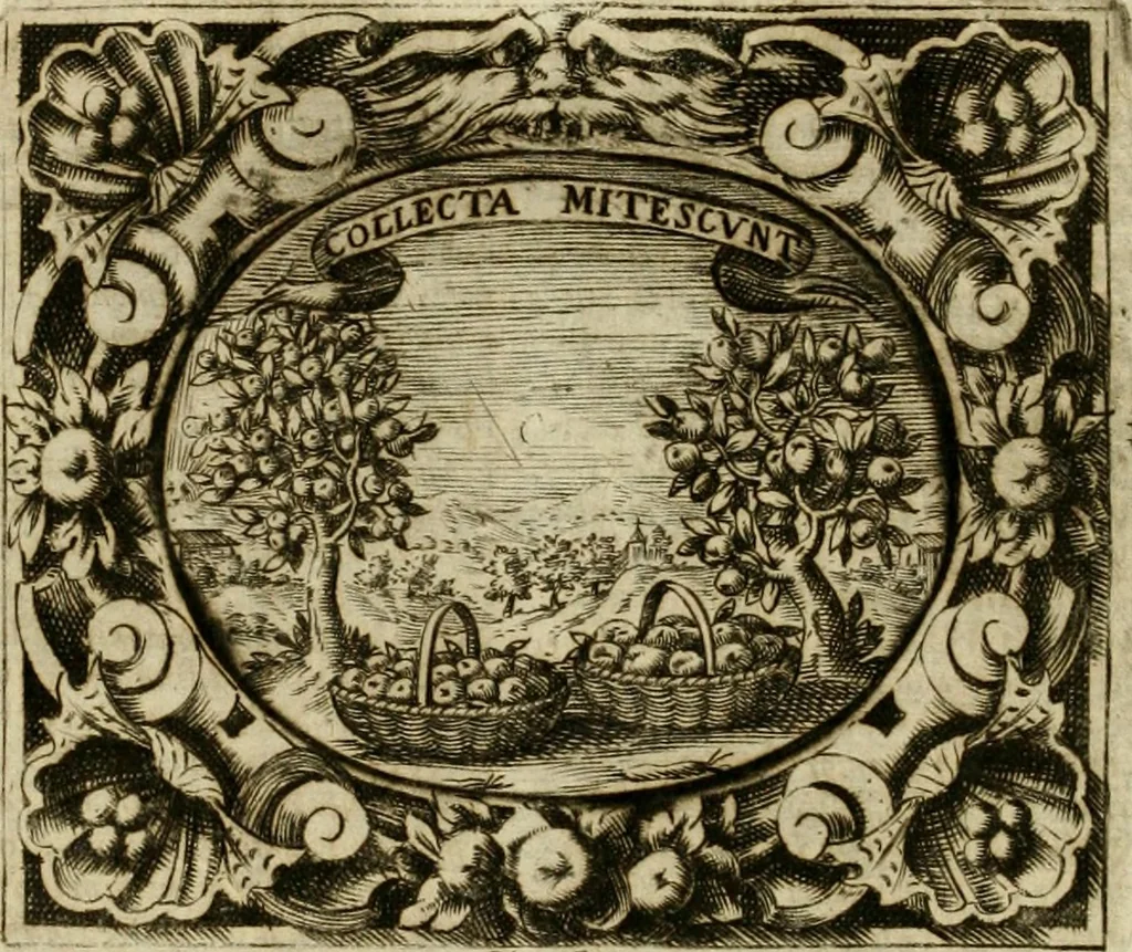An illustration from Mondo simbolico, o sia, Vniuersita' d'imprese scelte, spiegate, ed' illustrate con sentenze ed eruditioni sacre e profane, 1653, leaf 335