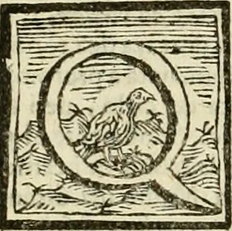An illustration from Mondo simbolico, o sia, Vniuersita' d'imprese scelte, spiegate, ed' illustrate con sentenze ed eruditioni sacre e profane, 1653, leaf 411