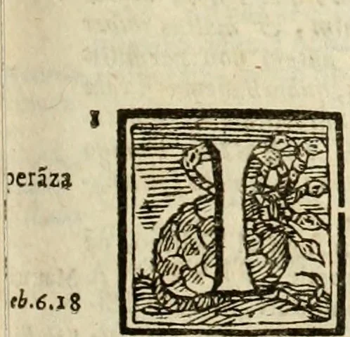 An illustration from Mondo simbolico, o sia, Vniuersita' d'imprese scelte, spiegate, ed' illustrate con sentenze ed eruditioni sacre e profane, 1653, leaf 502