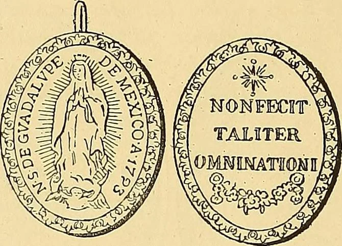 An illustration from Monetario americano (ilustrado) clasificado, 1892, leaf 399
