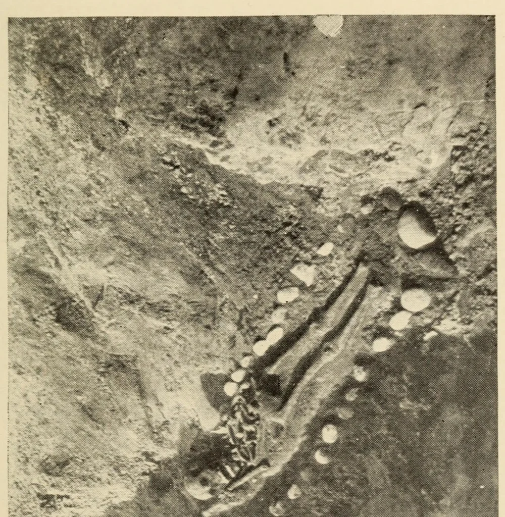 An illustration from A Montauk cemetery at Easthampton, Long island, 1920, leaf 31