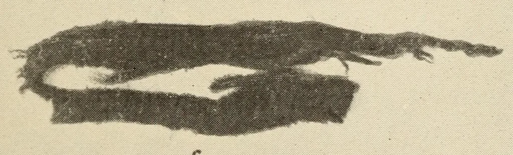 An illustration from A Montauk cemetery at Easthampton, Long island, 1920, leaf 55