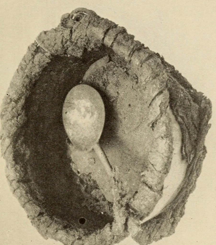 An illustration from A Montauk cemetery at Easthampton, Long island, 1920, leaf 59