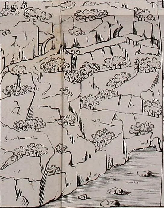 An illustration from Monumens celtiques; ou, Recherches sur le culte des pierres, précédées d'une notice sur les Celtes et sur les druides, et suivies d'étymologies celtiques, 1805, leaf 502