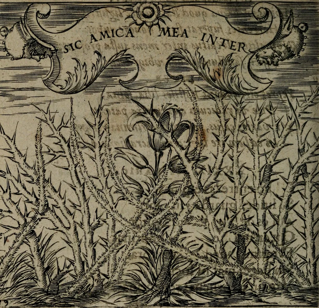An illustration from Monumenta emblematorum Christianorum virtutum : tum politicarum, tum oeconomicarum chorum centuria una adumbrantia. ..., 1619, leaf 193