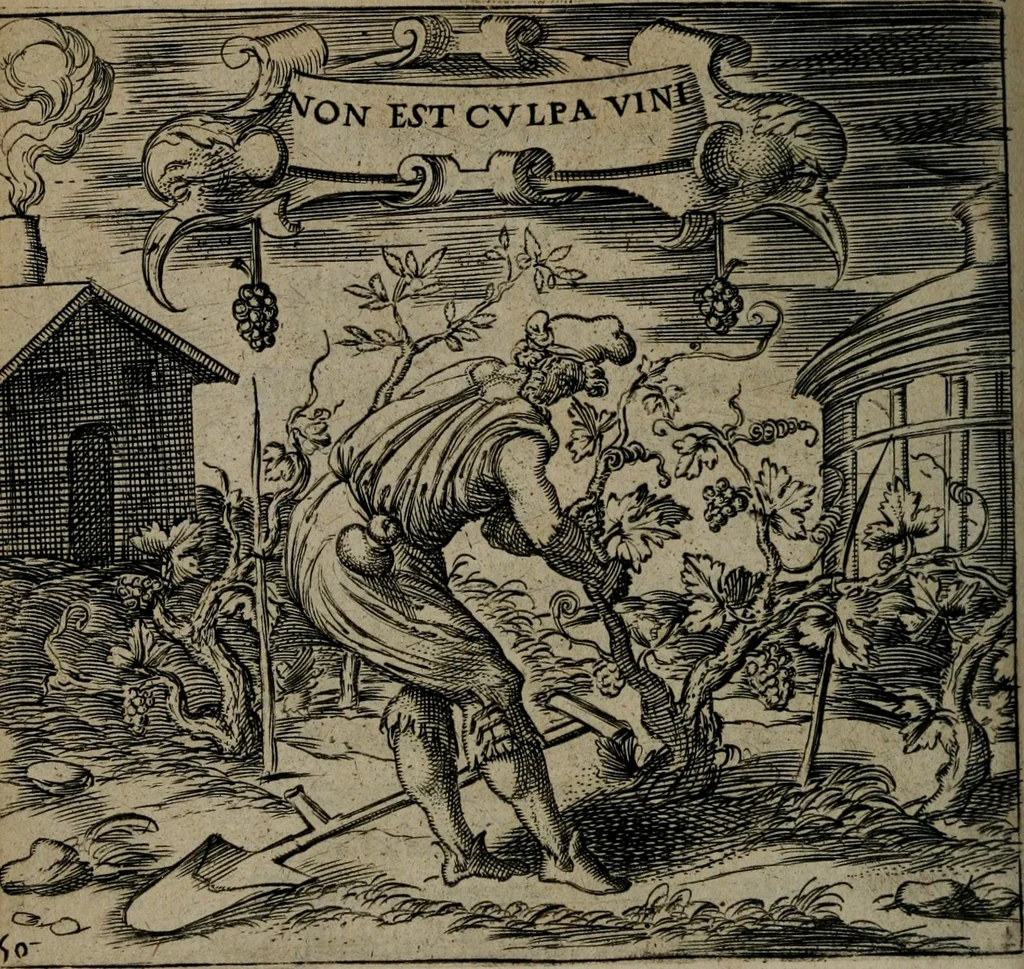 An illustration from Monumenta emblematorum Christianorum virtutum : tum politicarum, tum oeconomicarum chorum centuria una adumbrantia. ..., 1619, leaf 237