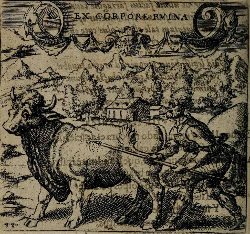 An illustration from Monumenta emblematorum Christianorum virtutum : tum politicarum, tum oeconomicarum chorum centuria una adumbrantia. ..., 1619, leaf 389
