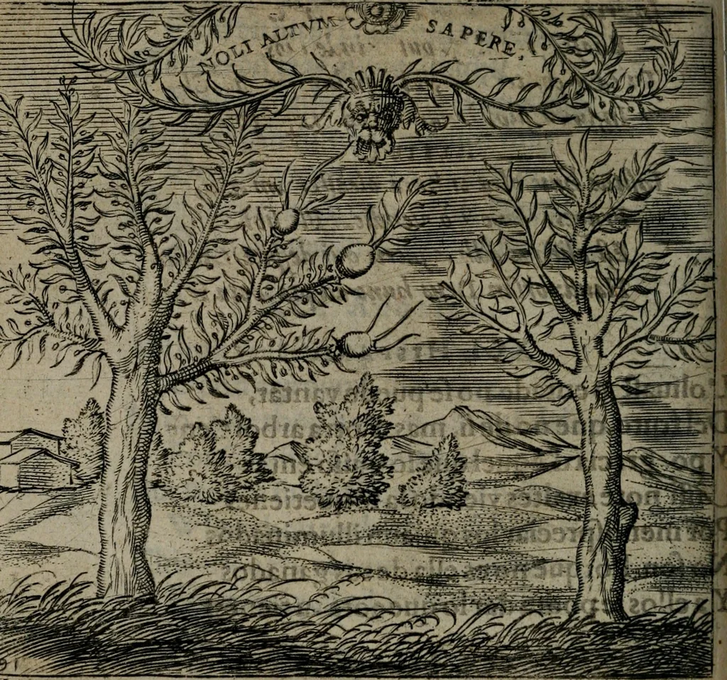 An illustration from Monumenta emblematorum Christianorum virtutum : tum politicarum, tum oeconomicarum chorum centuria una adumbrantia. ..., 1619, leaf 401