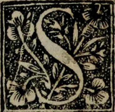 An illustration from Monumenta emblematorum Christianorum virtutum : tum politicarum, tum oeconomicarum chorum centuria una adumbrantia. ..., 1619, leaf 443