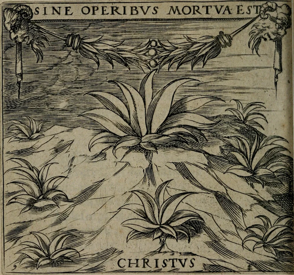 An illustration from Monumenta emblematorum Christianorum virtutum : tum politicarum, tum oeconomicarum chorum centuria una adumbrantia. ..., 1619, leaf 73