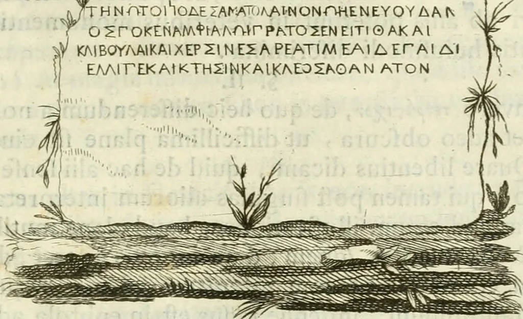 An illustration from Monumenta Graeca ex museo equitis ac senatoris Iacobi NaniI veneti, 1785, leaf 344
