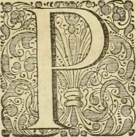 An illustration from Monumenta Paderbornensia : ex historia Romana, Francica, Saxonica eruta, et novis inscriptionibus, figuris, tabulis geographicis & notis illustrata. Accedunt Caroli M. Capitulatio de partibus Saxoniae, ex antiquissimo MS. Palatino Bibliothecae Vaticanae, & Panegyricus Paderbornensis, 1672, leaf 10