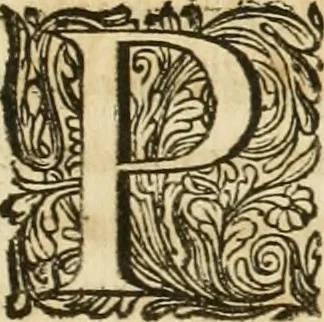 An illustration from Monumenta Paderbornensia : ex historia Romana, Francica, Saxonica eruta, et novis inscriptionibus, figuris, tabulis geographicis & notis illustrata. Accedunt Caroli M. Capitulatio de partibus Saxoniae, ex antiquissimo MS. Palatino Bibliothecae Vaticanae, & Panegyricus Paderbornensis, 1672, leaf 26