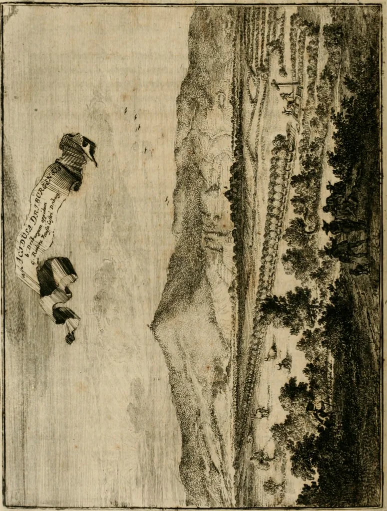 An illustration from Monumenta Paderbornensia : ex historia Romana, Francica, Saxonica eruta, et novis inscriptionibus, figuris, tabulis geographicis & notis illustrata. Accedunt Caroli M. Capitulatio de partibus Saxoniae, ex antiquissimo MS. Palatino Bibliothecae Vaticanae, & Panegyricus Paderbornensis, 1672, leaf 335