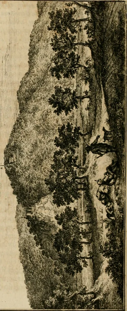 An illustration from Monumenta Paderbornensia : ex historia Romana, Francica, Saxonica eruta, et novis inscriptionibus, figuris, tabulis geographicis & notis illustrata. Accedunt Caroli M. Capitulatio de partibus Saxoniae, ex antiquissimo MS. Palatino Bibliothecae Vaticanae, & Panegyricus Paderbornensis, 1672, leaf 339