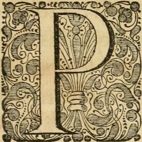 An illustration from Monumenta Paderbornensia : ex historia Romana, Francica, Saxonica eruta, et novis inscriptionibus, figuris, tabulis geographicis & notis illustrata. Accedunt Caroli M. Capitulatio de partibus Saxoniae, ex antiquissimo MS. Palatino Bibliothecae Vaticanae, & Panegyricus Paderbornensis, 1672, leaf 428