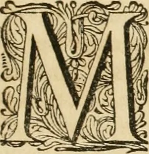 An illustration from Monumenta Paderbornensia : ex historia Romana, Francica, Saxonica eruta, et novis inscriptionibus, figuris, tabulis geographicis & notis illustrata. Accedunt Caroli M. Capitulatio de partibus Saxoniae, ex antiquissimo MS. Palatino Bibliothecae Vaticanae, & Panegyricus Paderbornensis, 1672, leaf 476