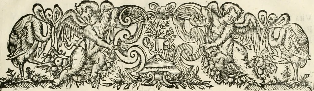 An illustration from Monumenta Patauina, Sertorii Vrsati studio collecta, digesta, explicata, suisque iconibus expressa, 1652, leaf 14