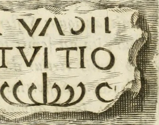 An illustration from Monumenta Patauina, Sertorii Vrsati studio collecta, digesta, explicata, suisque iconibus expressa, 1652, leaf 160