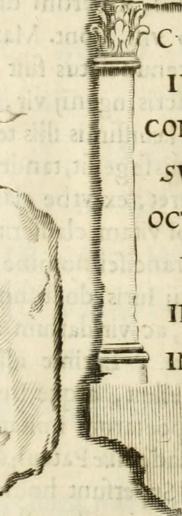 An illustration from Monumenta Patauina, Sertorii Vrsati studio collecta, digesta, explicata, suisque iconibus expressa, 1652, leaf 171