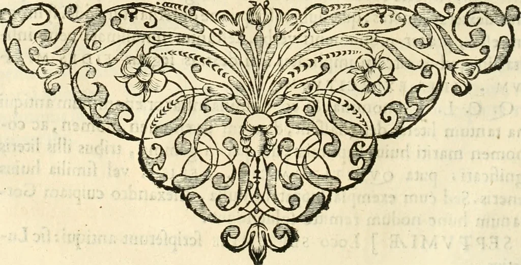 An illustration from Monumenta Patauina, Sertorii Vrsati studio collecta, digesta, explicata, suisque iconibus expressa, 1652, leaf 175