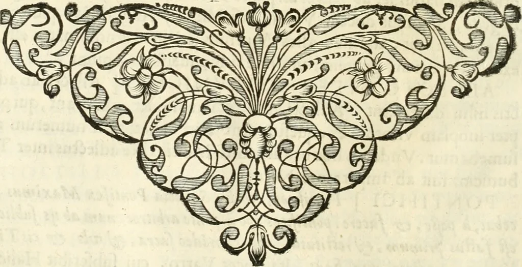 An illustration from Monumenta Patauina, Sertorii Vrsati studio collecta, digesta, explicata, suisque iconibus expressa, 1652, leaf 193