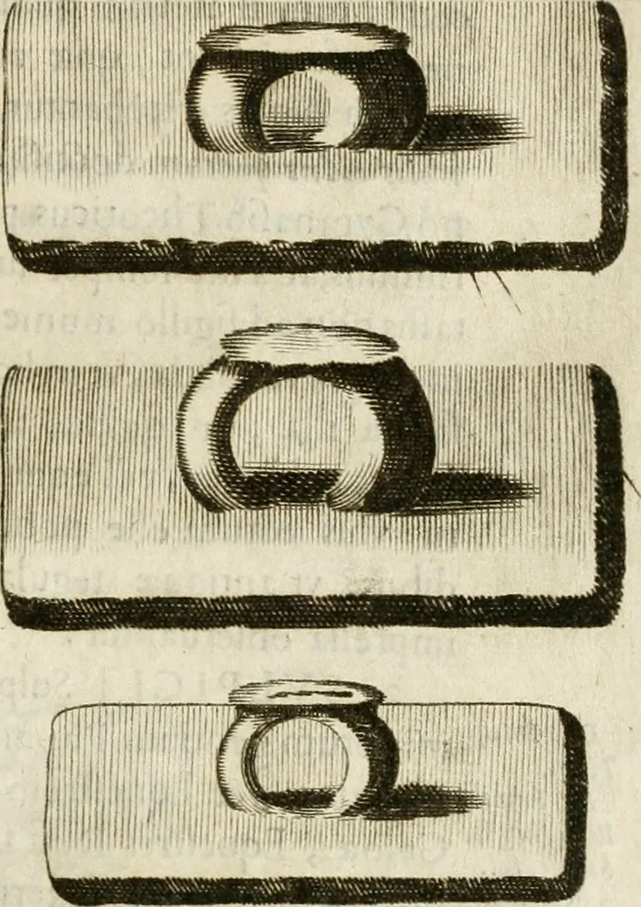 An illustration from Monumenta Patauina, Sertorii Vrsati studio collecta, digesta, explicata, suisque iconibus expressa, 1652, leaf 196