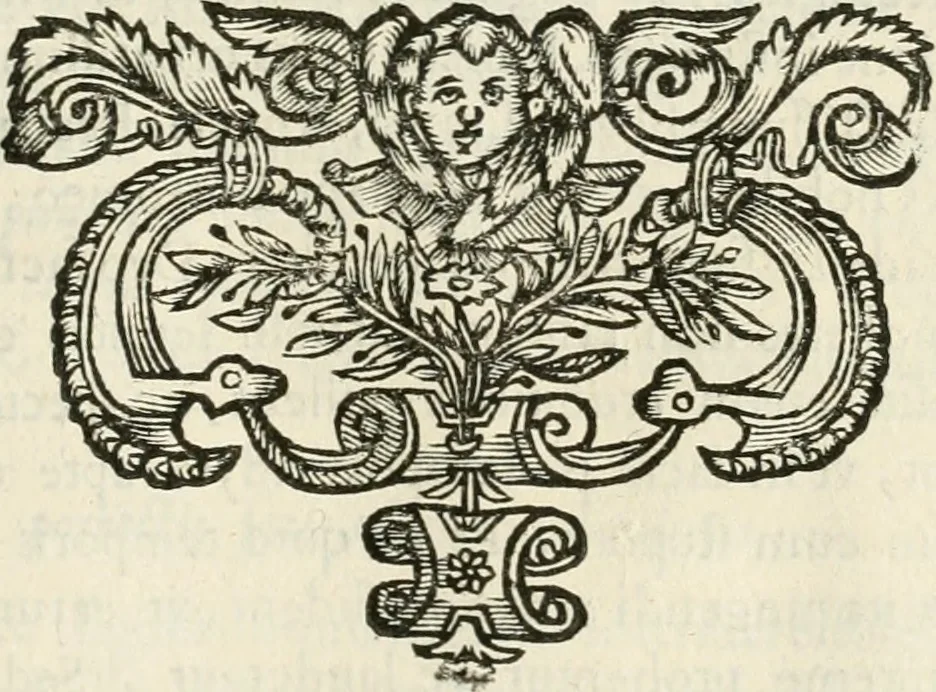 An illustration from Monumenta Patauina, Sertorii Vrsati studio collecta, digesta, explicata, suisque iconibus expressa, 1652, leaf 198