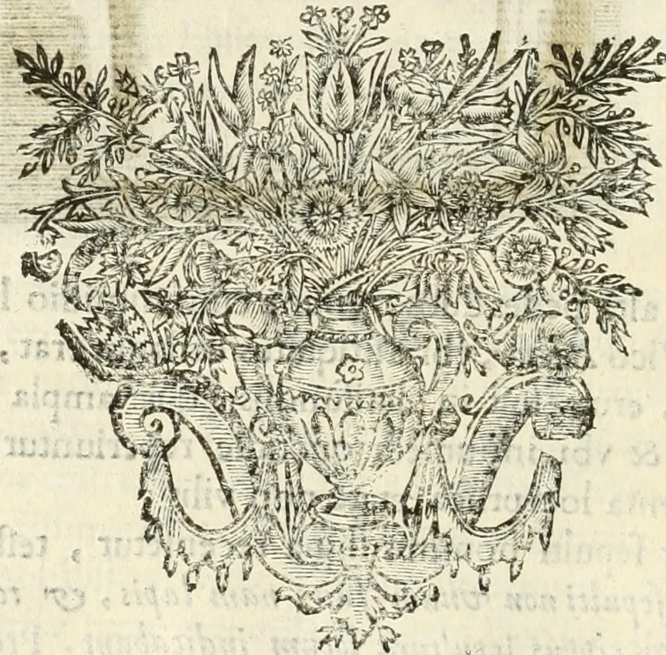 An illustration from Monumenta Patauina, Sertorii Vrsati studio collecta, digesta, explicata, suisque iconibus expressa, 1652, leaf 201