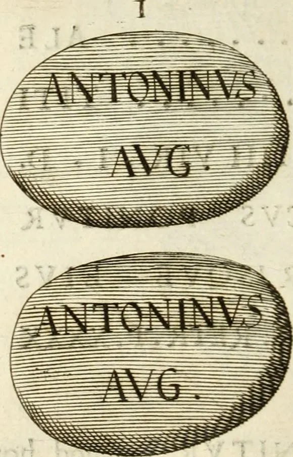 An illustration from Monumenta Patauina, Sertorii Vrsati studio collecta, digesta, explicata, suisque iconibus expressa, 1652, leaf 203