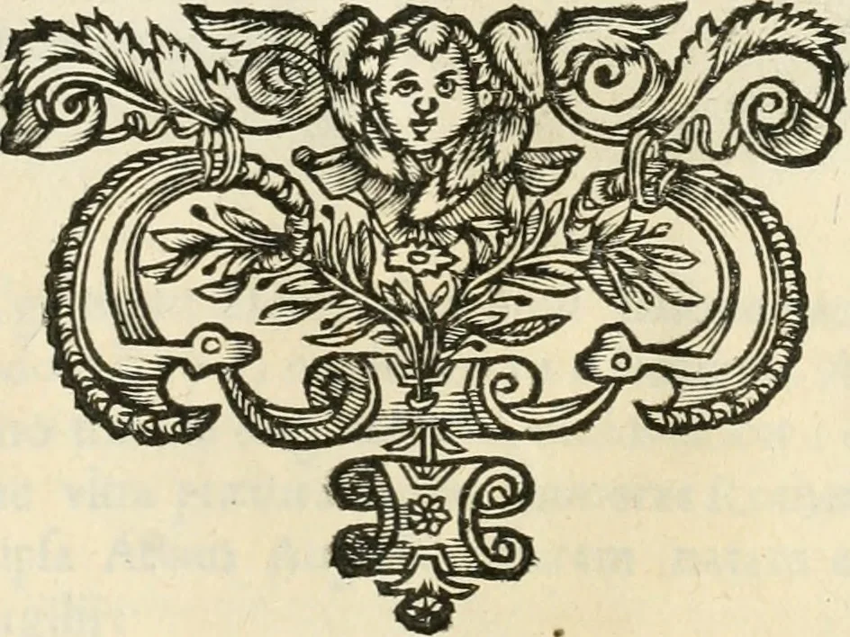 An illustration from Monumenta Patauina, Sertorii Vrsati studio collecta, digesta, explicata, suisque iconibus expressa, 1652, leaf 204