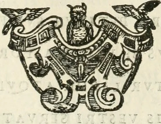 An illustration from Monumenta Patauina, Sertorii Vrsati studio collecta, digesta, explicata, suisque iconibus expressa, 1652, leaf 208