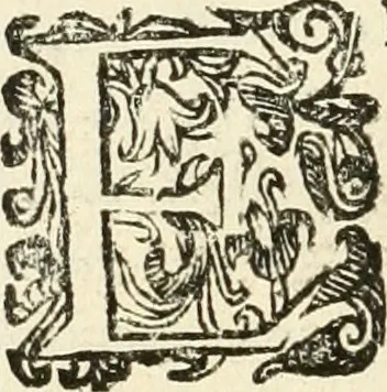 An illustration from Monumenta Patauina, Sertorii Vrsati studio collecta, digesta, explicata, suisque iconibus expressa, 1652, leaf 209