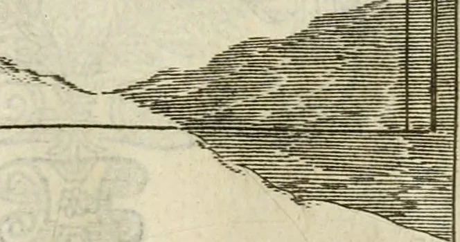 An illustration from Monumenta Patauina, Sertorii Vrsati studio collecta, digesta, explicata, suisque iconibus expressa, 1652, leaf 210