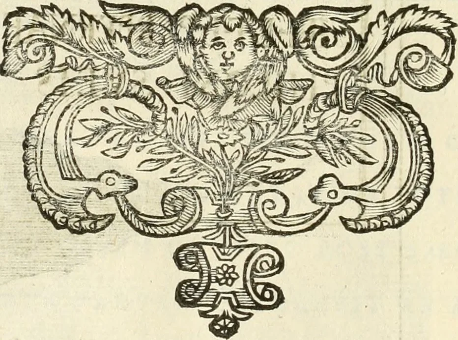 An illustration from Monumenta Patauina, Sertorii Vrsati studio collecta, digesta, explicata, suisque iconibus expressa, 1652, leaf 211