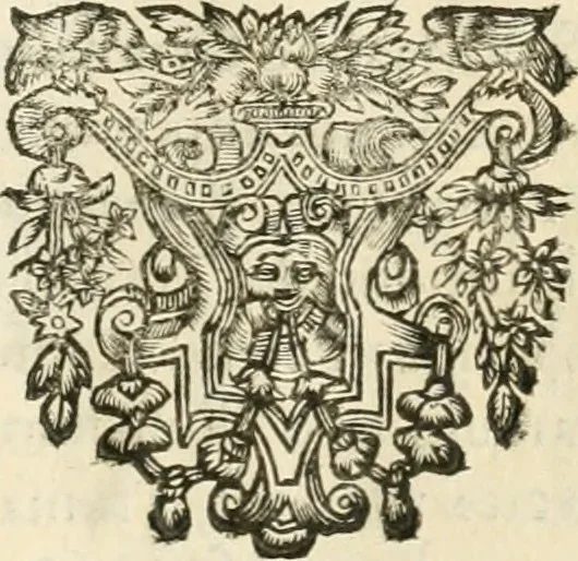 An illustration from Monumenta Patauina, Sertorii Vrsati studio collecta, digesta, explicata, suisque iconibus expressa, 1652, leaf 224